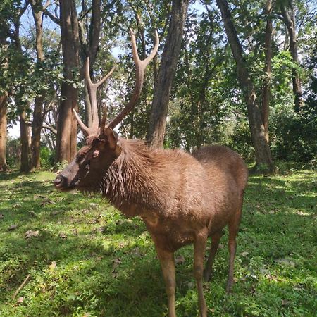 Wild Window - Forest View Homestay Thekkady Bagian luar foto