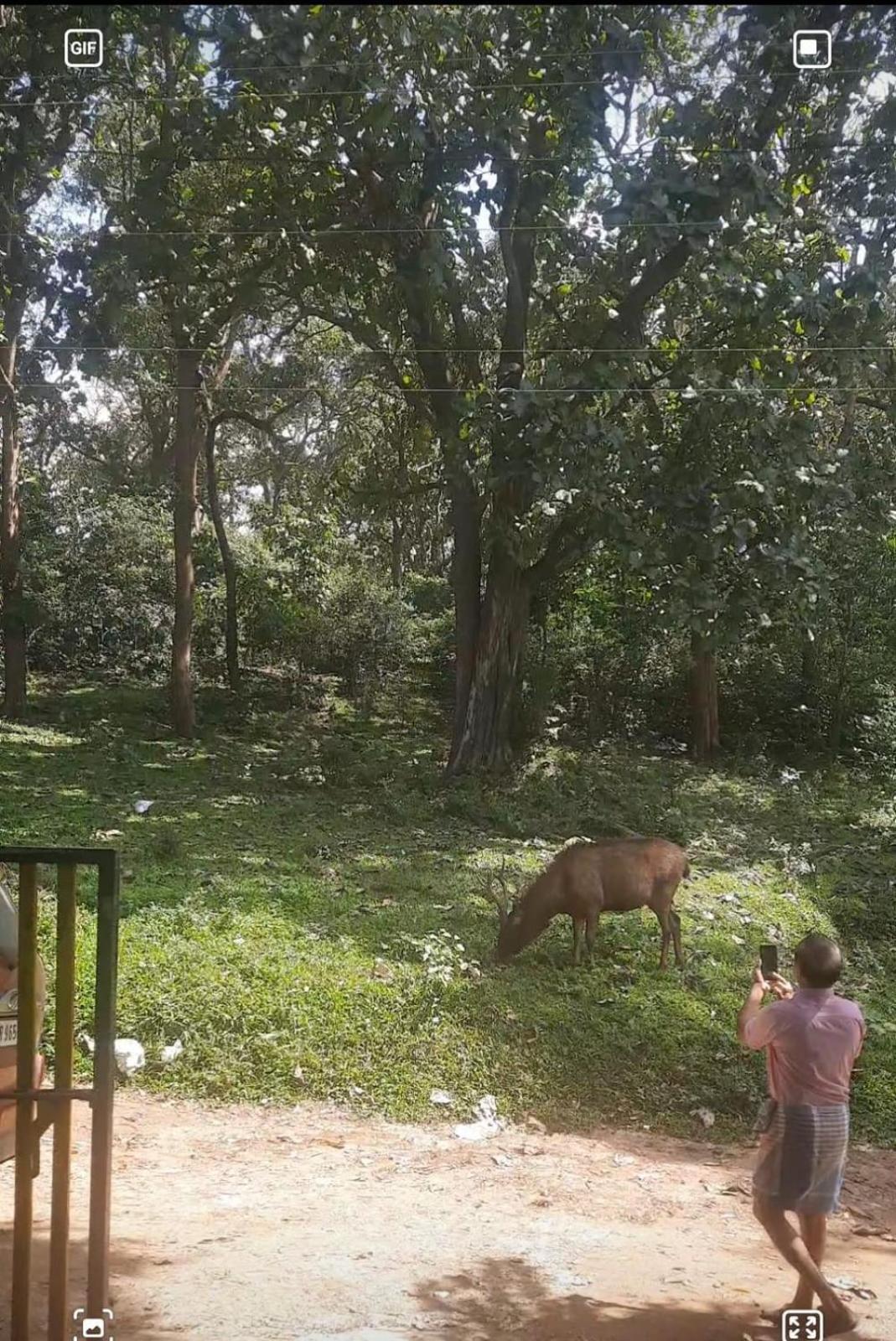 Wild Window - Forest View Homestay Thekkady Bagian luar foto