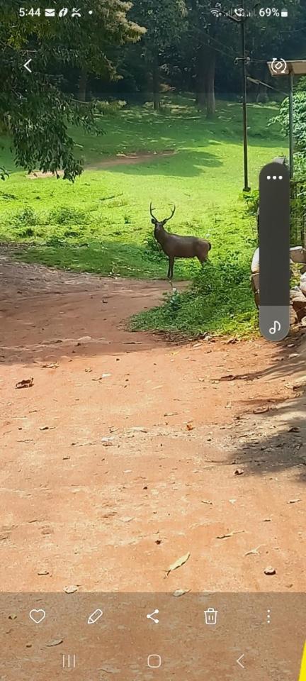 Wild Window - Forest View Homestay Thekkady Bagian luar foto