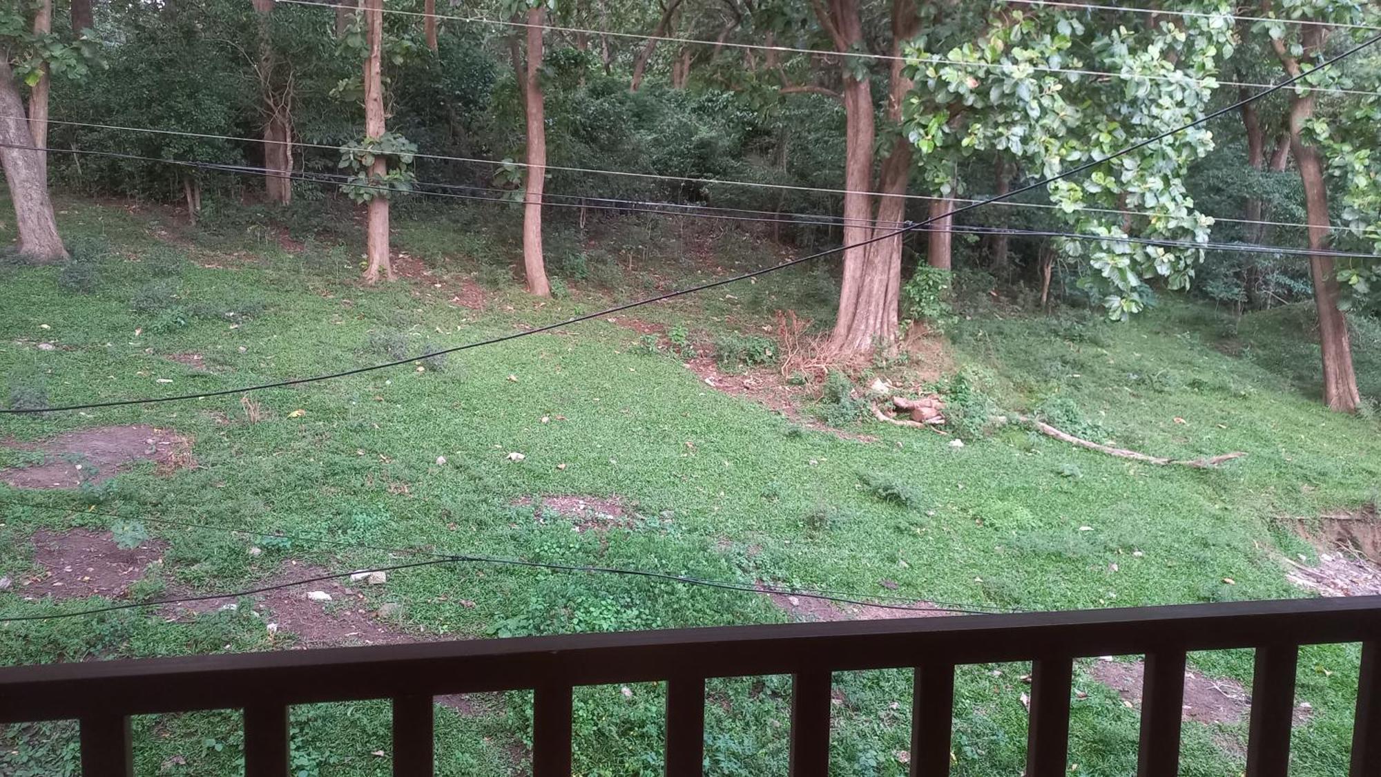 Wild Window - Forest View Homestay Thekkady Bagian luar foto