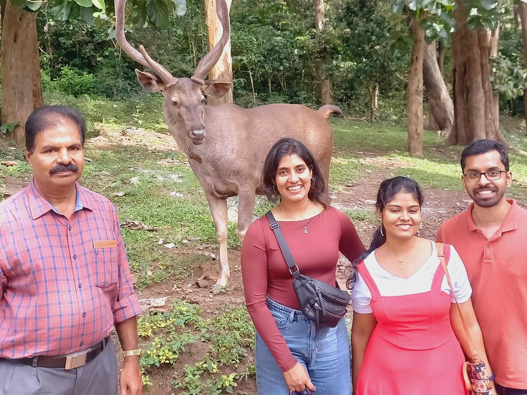 Wild Window - Forest View Homestay Thekkady Bagian luar foto