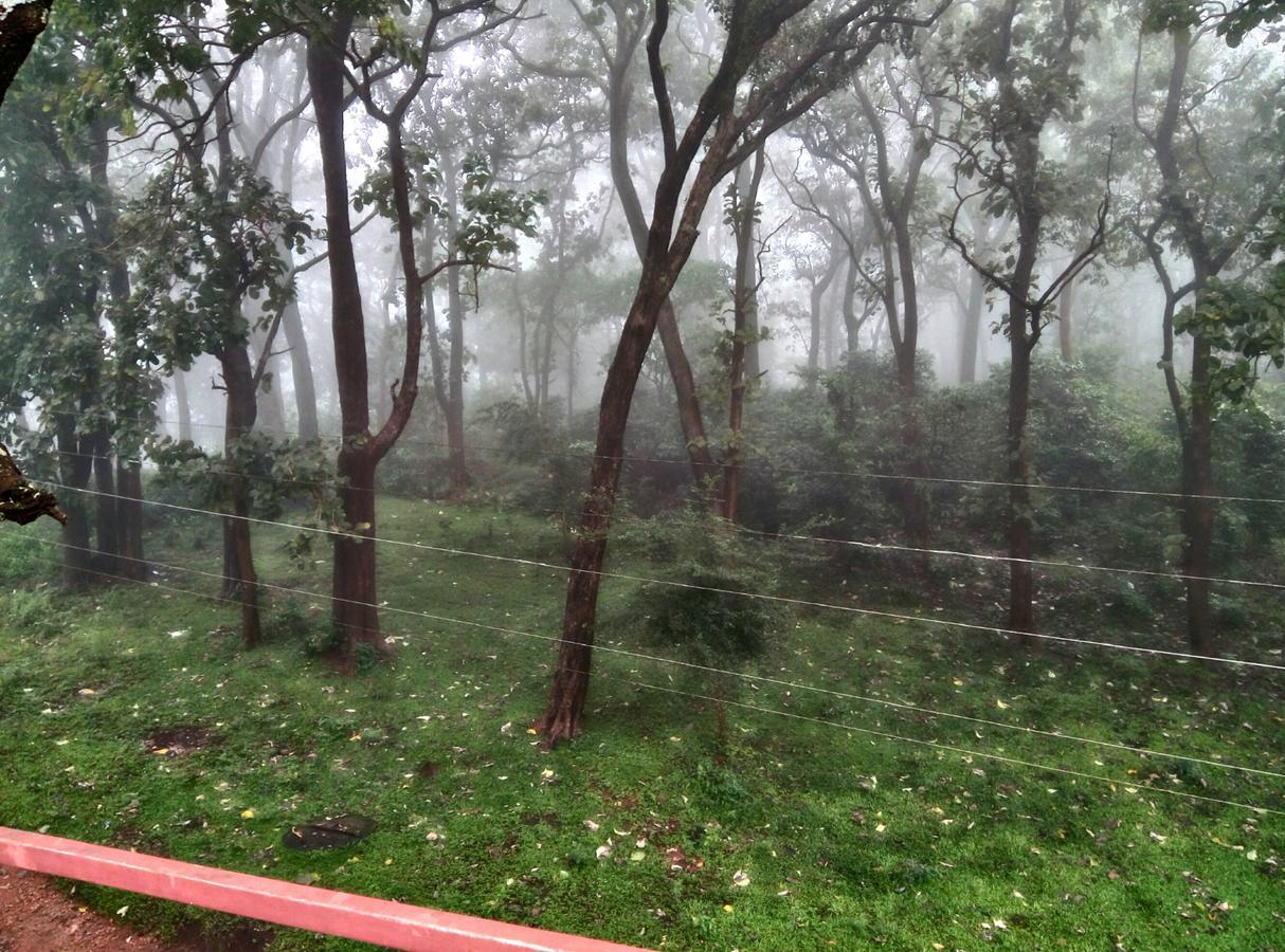 Wild Window - Forest View Homestay Thekkady Bagian luar foto