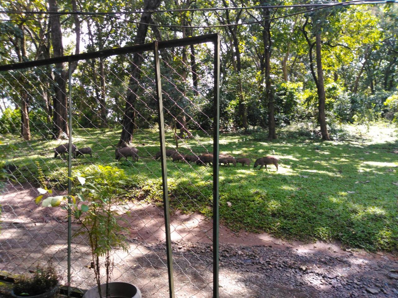 Wild Window - Forest View Homestay Thekkady Bagian luar foto