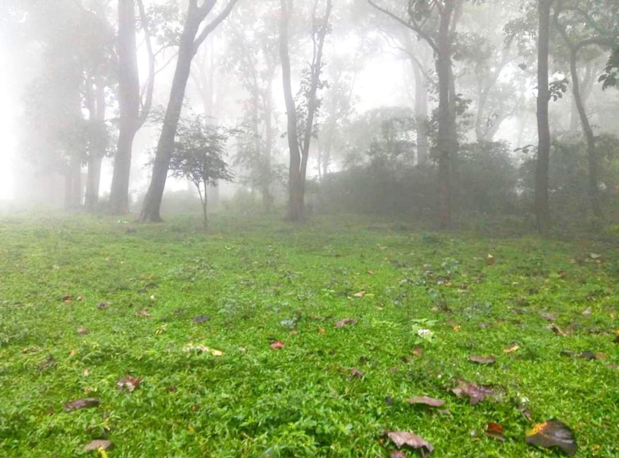 Wild Window - Forest View Homestay Thekkady Bagian luar foto
