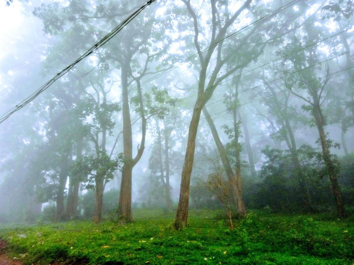 Wild Window - Forest View Homestay Thekkady Bagian luar foto